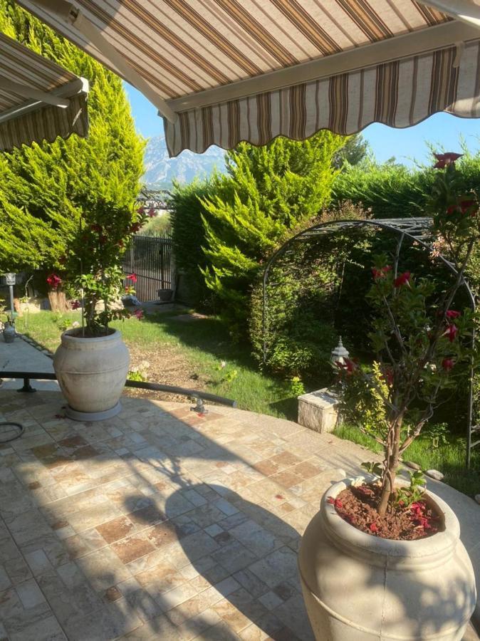 Villa Sofija Apartaments Bar Exteriér fotografie